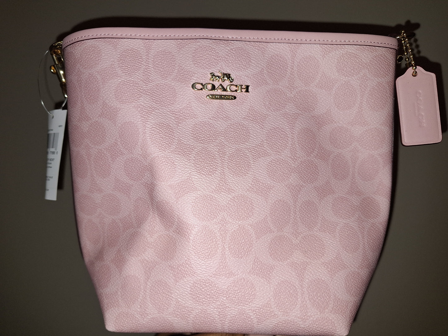 Coach City Bucket & Matching Wallet - Regular/Small - Powder Pink Signature - NWT (Price Includes Shipping)